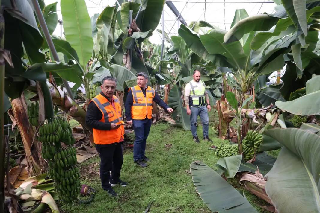 Antalya'da Hortumun Vurduğu Seralara Acil Destek 5